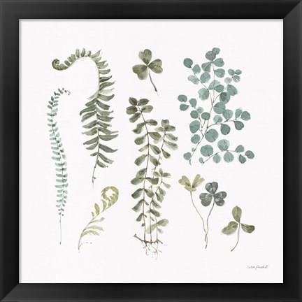 Framed Fern Study 03 Print