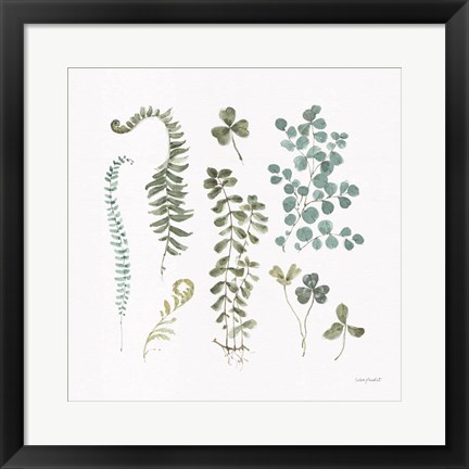 Framed Fern Study 03 Print