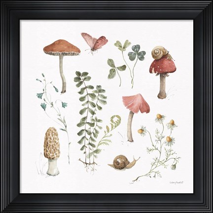 Framed Forest Treasures 02 Print