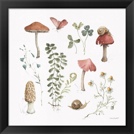 Framed Forest Treasures 02 Print