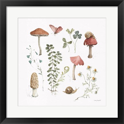 Framed Forest Treasures 02 Print