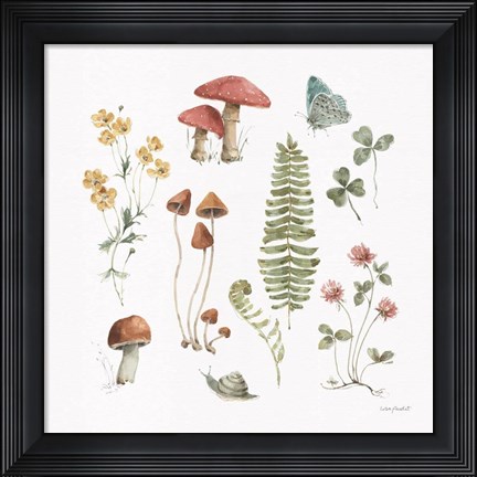 Framed Forest Treasures 03 Print