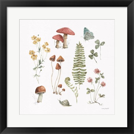 Framed Forest Treasures 03 Print