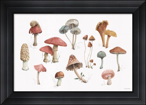Framed Mushroom Medley 01 Print