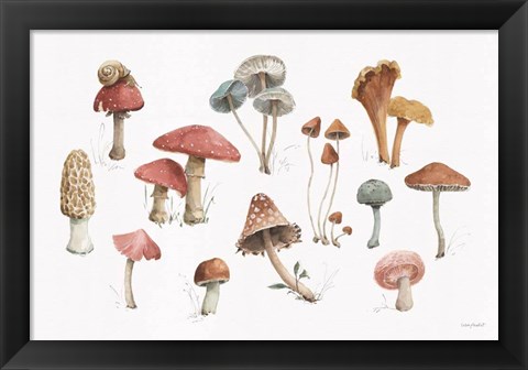 Framed Mushroom Medley 01 Print