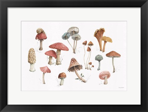Framed Mushroom Medley 01 Print