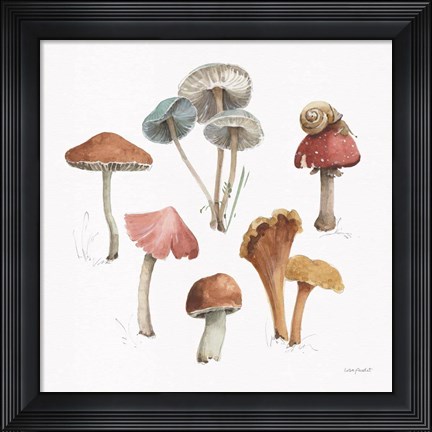 Framed Mushroom Medley 02 Print