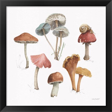 Framed Mushroom Medley 02 Print
