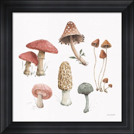 Framed Mushroom Medley 03 Print