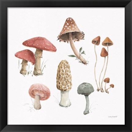 Framed Mushroom Medley 03 Print