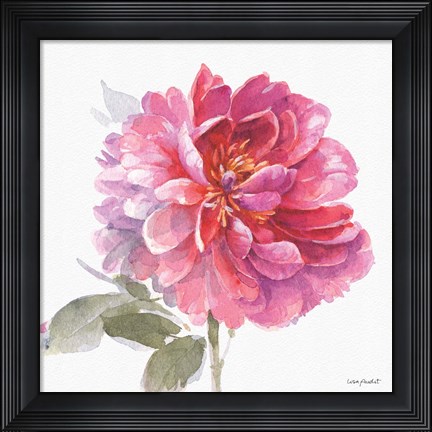 Framed Obviously Pink 02A Print