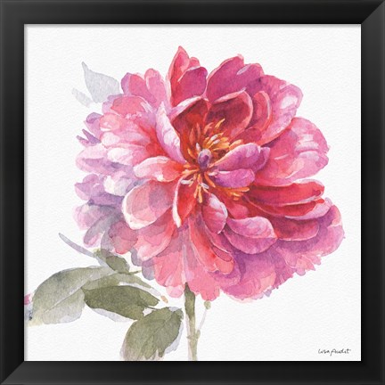 Framed Obviously Pink 02A Print