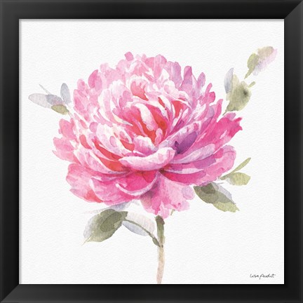 Framed Obviously Pink 03A Print