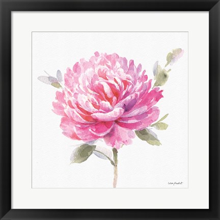 Framed Obviously Pink 03A Print