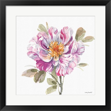 Framed Obviously Pink 04A Print