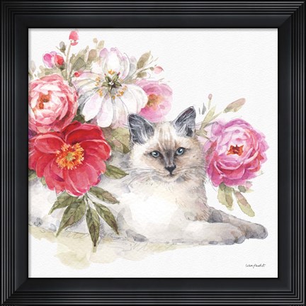 Framed Obviously Pink 21B Print