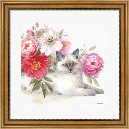 Framed Obviously Pink 21B Print