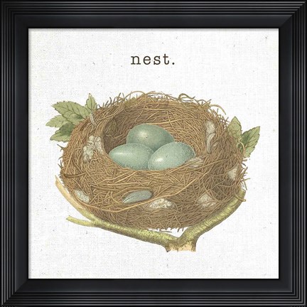 Framed Spring Nest III Nest Print