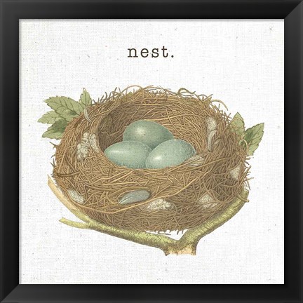 Framed Spring Nest III Nest Print