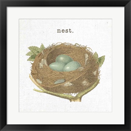 Framed Spring Nest III Nest Print