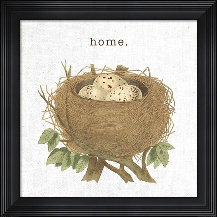 Framed Spring Nest II Home Print