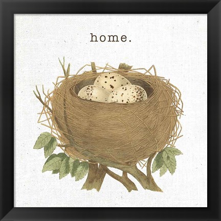 Framed Spring Nest II Home Print