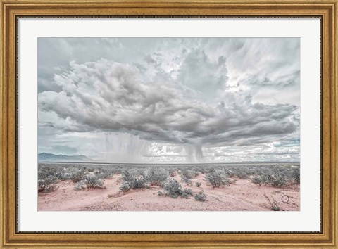 Framed New Mexico Rain Print