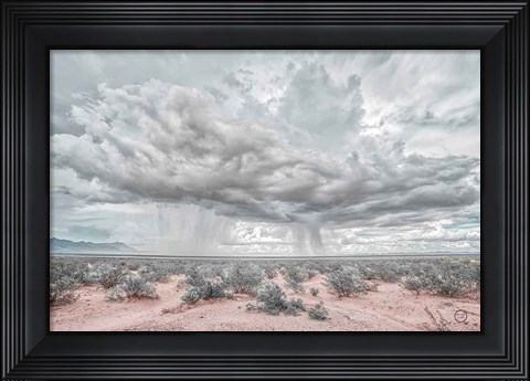 Framed New Mexico Rain Print