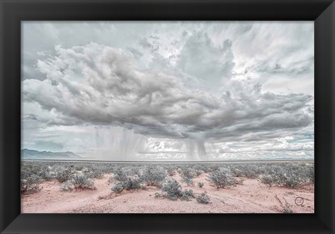 Framed New Mexico Rain Print