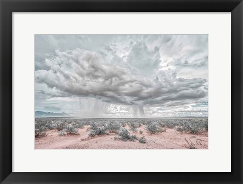 Framed New Mexico Rain Print