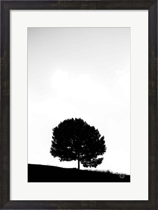 Framed Lone Tree Hill Print