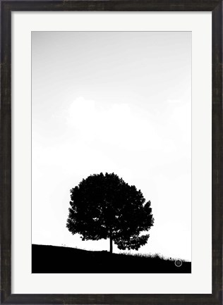 Framed Lone Tree Hill Print