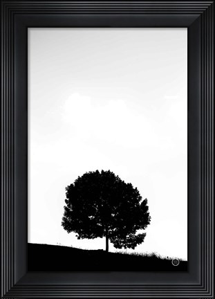 Framed Lone Tree Hill Print