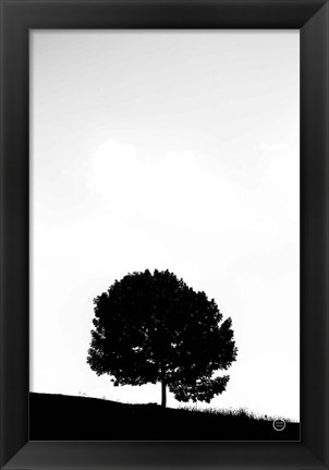 Framed Lone Tree Hill Print