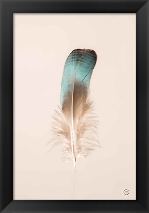 Framed Floating Feathers IV Print