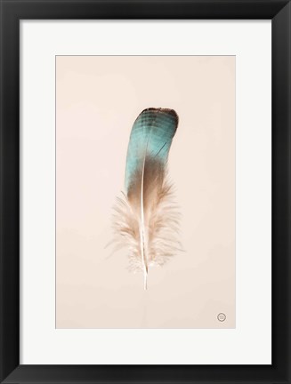 Framed Floating Feathers IV Print