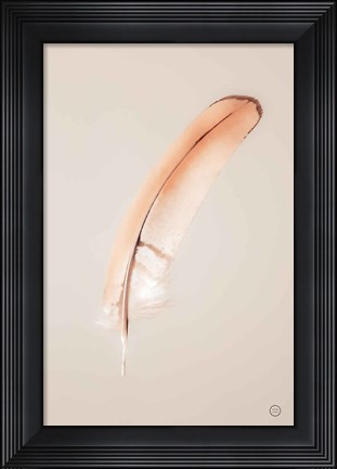 Framed Floating Feathers III Print