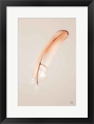 Framed Floating Feathers III Print