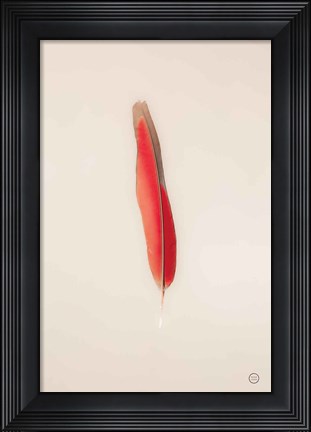 Framed Floating Feathers II Print