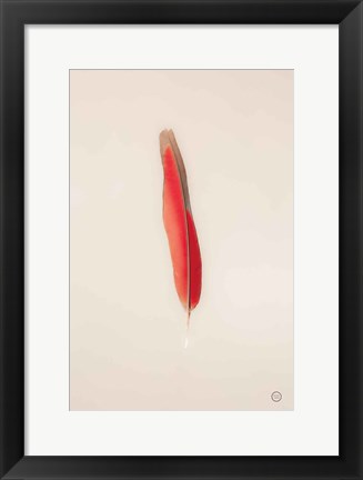 Framed Floating Feathers II Print