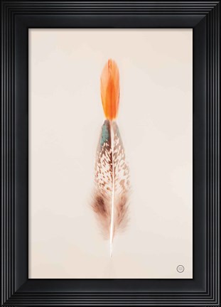 Framed Floating Feathers I Print