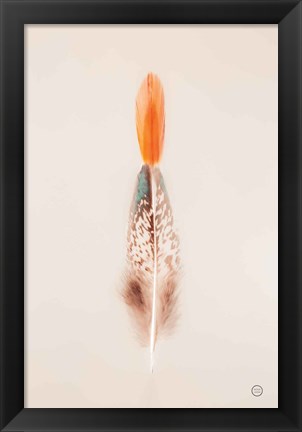 Framed Floating Feathers I Print