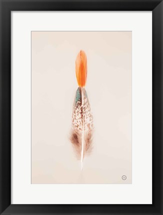 Framed Floating Feathers I Print