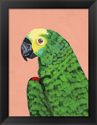 Framed Parrot Head Print