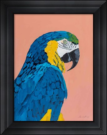 Framed Blue and Gold Macaw Print