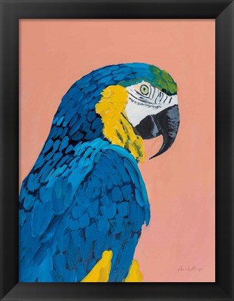 Framed Blue and Gold Macaw Print