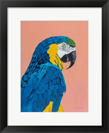 Framed Blue and Gold Macaw Print