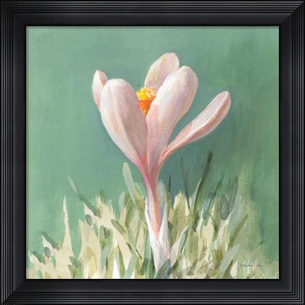 Framed Soft Crocus Print