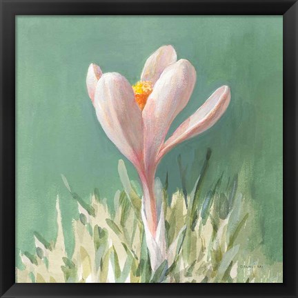 Framed Soft Crocus Print