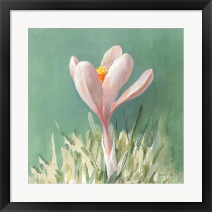 Framed Soft Crocus Print